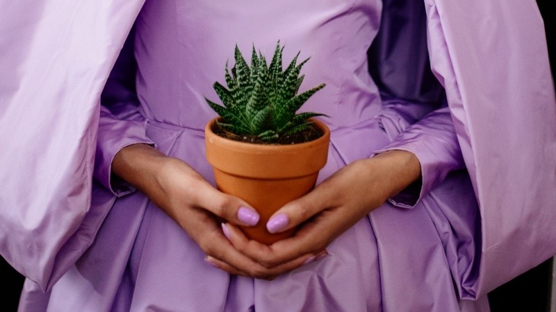 Su versatilidad se expresa no sólo en la combinación con otros colores sino en la gran variedad de estampados que lo tienen como protagonista