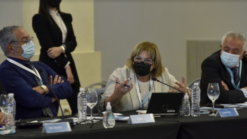 La ministra de Salud de Santa Fe en la reunión del Cofesa.