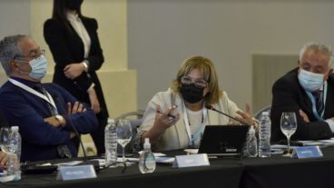 La ministra de Salud de Santa Fe en la reunión del Cofesa.