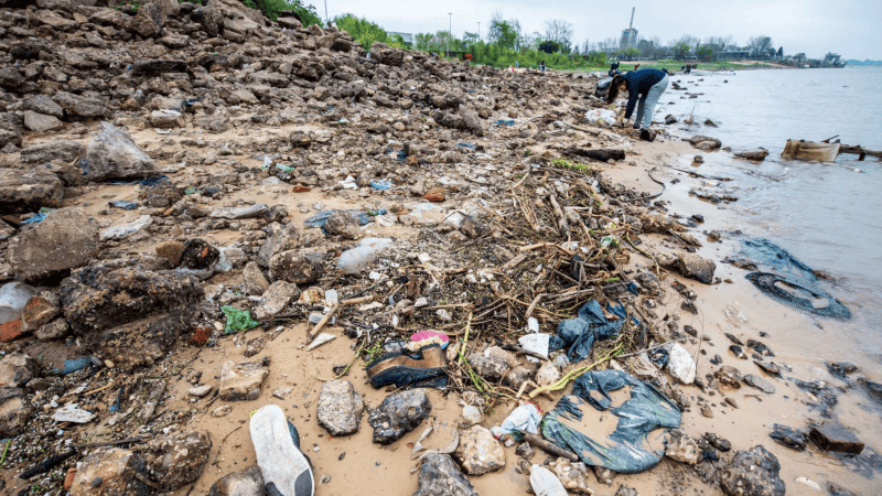 Las fotos de Eduardo Bodiño y Gisela Ardit por la jornada de limpieza.