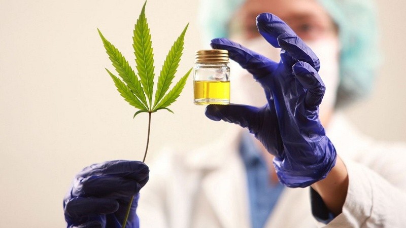 El primer lote de cannabis medicinal es presentado en la provincia.
