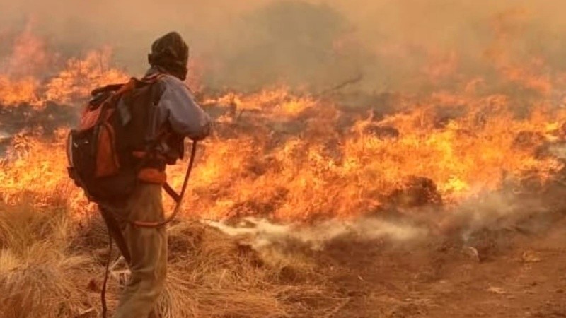 Los incendios en el norte cordobés continúan y los bomberos trabajan incansablemente.