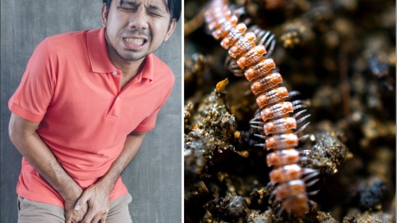 El área íntima de Ye estaba algo herida.