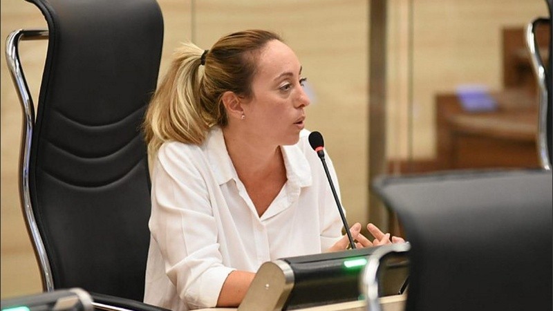 La concejala Renata Ghilotti (Juntos por el Cambio) propone que los ciudadanos se defiendan por su cuenta, ante la ausencia del Estado.
