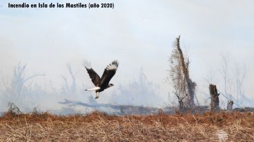La isla sufrió quemas el año pasado y la UNR estudia el impacto.