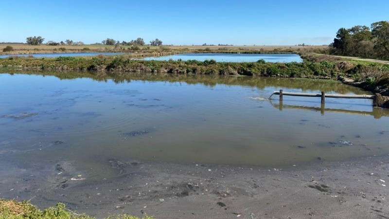 Tras los resultados, los investigadores remarcaron la importancia de realizar vigilancia ambiental del coronavirus.