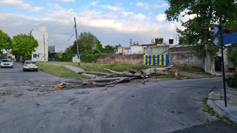 Don Orione y pasaje Estrada (Arroyito), con un árbol y cables caídos.