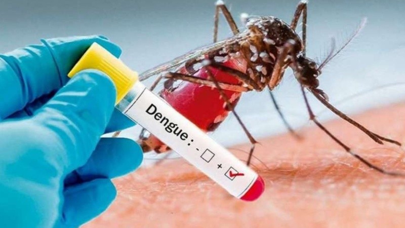 La vacuna se usaría para prevenir el virus transmitido por el mosquito.