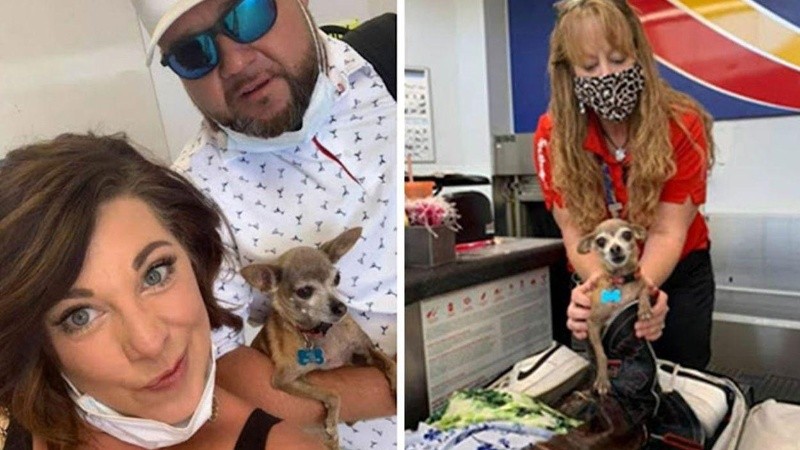 La perra impidió por unas horas el viaje de sus dueños.