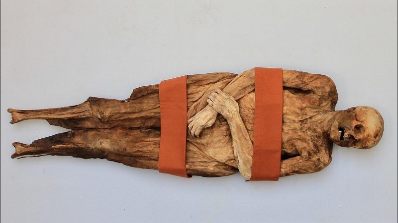 Los científicos lograron secuenciar el genoma de la momia.