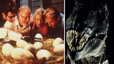 Los expertos dijeron que pudieron rastrear algunas células sanas.