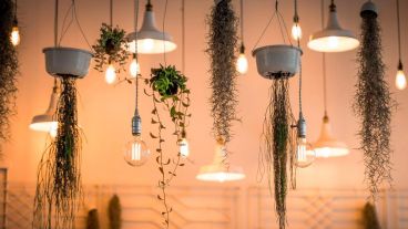 Cada ambiente requiere de una distancia adecuada entre la luz y los objetos que conformen dicho espacio