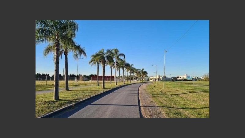 Hay loteos que hacen negocios a costa del Estado y los inversores