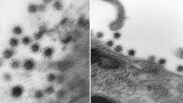 La variante representa un peligro adicional ya que sigue generando mutaciones.