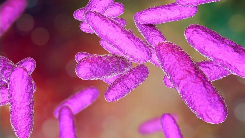  Se trata de una rara enfermedad de transmisión sexual.