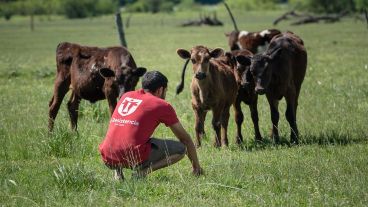 El tambo se mudará a la zona productiva del futuro barrio.