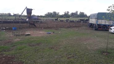 Habrá cuatro zonas: desarrollos privados, viviendas sociales, espacios verdes y zonas productivas.