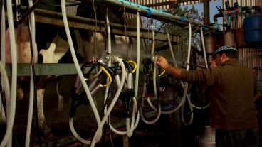 Oscar Licera explota el tambo hace décadas, antes del conflicto.