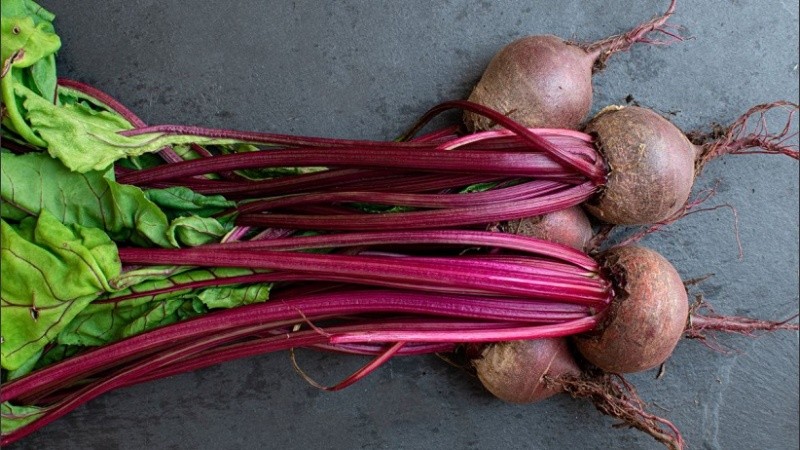El consumo de remolacha ayuda a mejorar la memoria y aumenta las defensas.