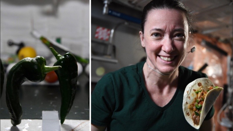 Es uno de los experimentos con plantas más complejos en la EEI hasta la fecha.