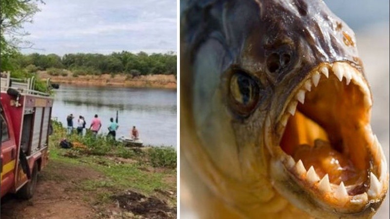 El hombre tenía 30 años y quedó desfigurado por los animales.
