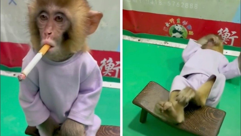 El video provocó gran indignación.