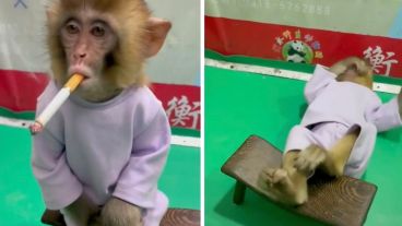 El video provocó gran indignación.