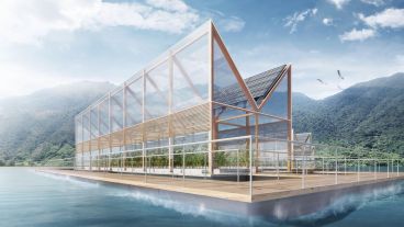 La técnica que más se utilizará es la Moisculture, que sustituye parte de la tierra por fibras especiales