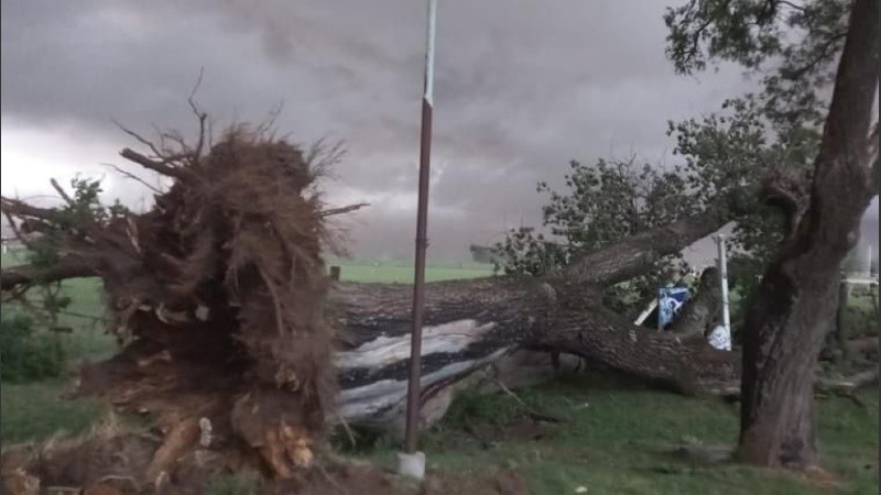 Imágenes del fuerte paso de la tormenta por Venado Tuerto | Rosario3