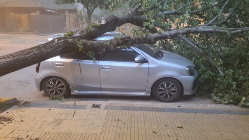 Imágenes del fuerte paso de la tormenta por Venado Tuerto | Rosario3