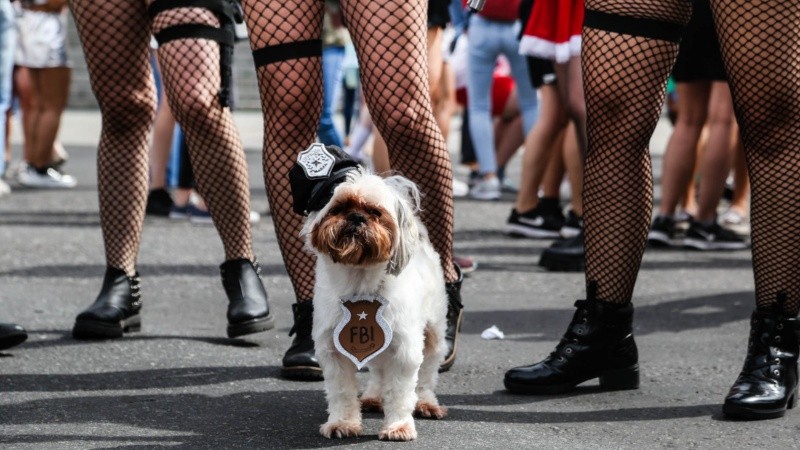 La alegría de los estudiantes de Medicina este martes por la mañana en el tradicional festejo. 