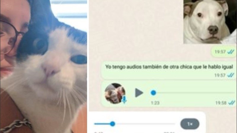 Los audios se volvieron virales y se sumaron nuevos casos similares.