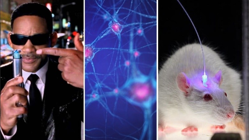 La técnica se podría aplicar para corregir algunas enfermedades cognitivas.