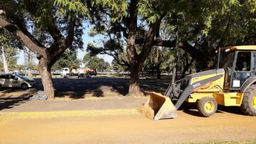 Trabajos de parquización en las distintas áreas del Parque Independencia.