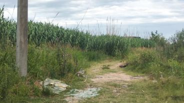Doble crimen en la zona norte de Rosario