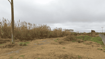 El descampado en el que se encontraron los cuerpos