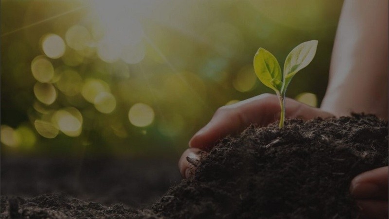 premio innovacion edu  DEF