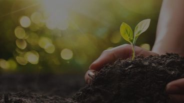 premio innovacion edu  DEF