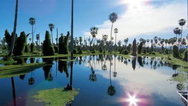 La provincia cuenta con el Bañado La Estrella, que alberga el tercer humedal más grande de América