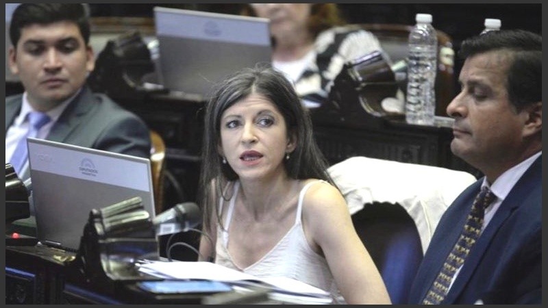 La diputada kirchnerista insultó al presidente y después pidió disculpas. 
