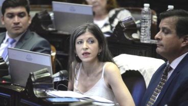 La diputada kirchnerista insultó al presidente y después pidió disculpas.
