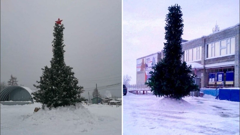 El árbol será modificado para evitar enojos.