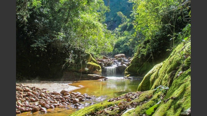 Se trata de una de las áreas protegidas con mayor biodiversidad de Argentinap