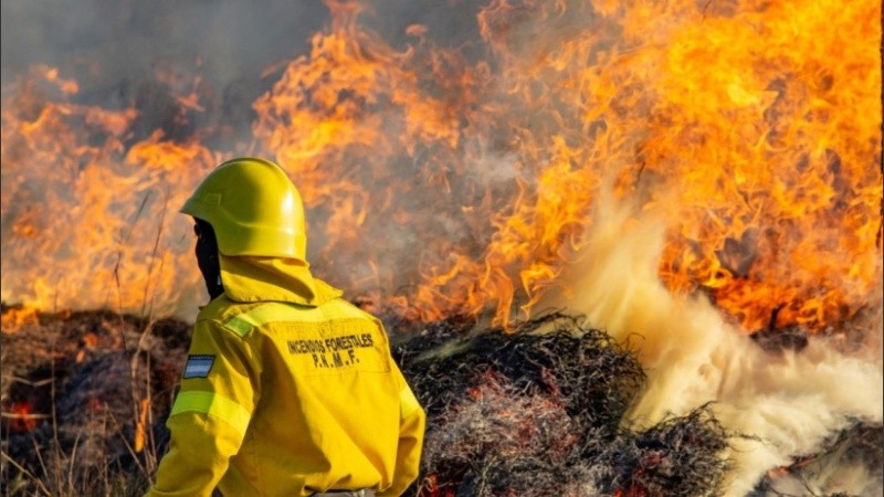 Más de 200 personas trabajaban para contener el avance del fuego.
