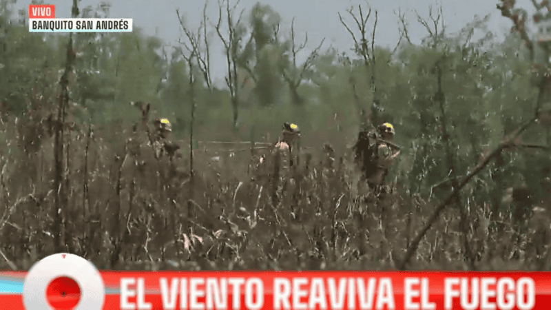 De 12 a 14 cruzó a la isla Sabino Corsi y registró imágenes de los incendios.
