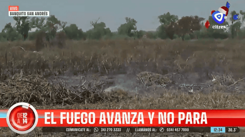 De 12 a 14 cruzó a la isla Sabino Corsi y registró imágenes de los incendios.