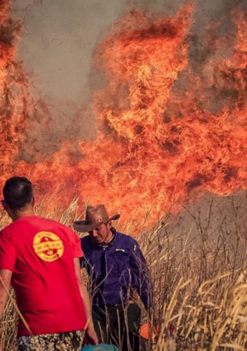 Fuego en las islas: un cortafuego urgente a la mala gestión y para coordinar fuerzas