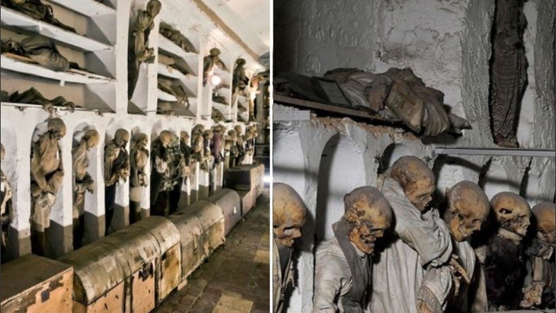 Las momias serán estudiadas para brindar todas las respuestas.