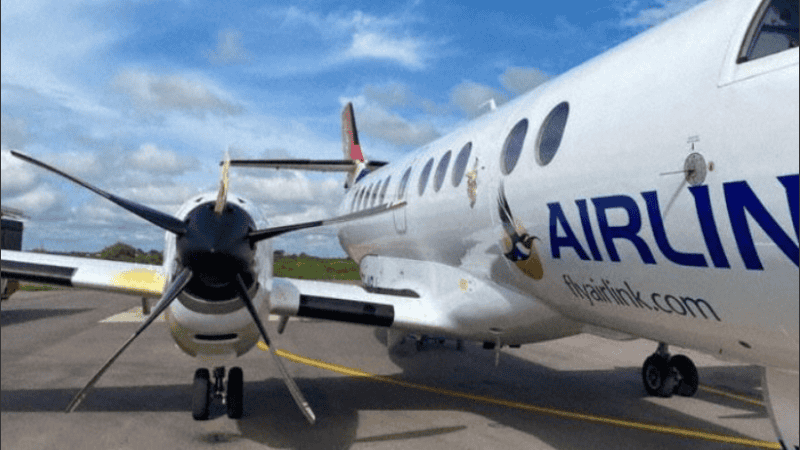  Esta especie forma parte de las aves voladoras más grandes del mundo.