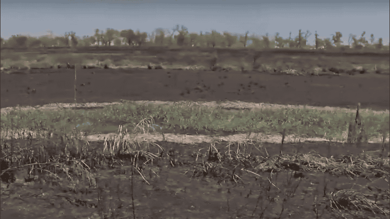 En la zona frente a Rosario también había terrenos a la venta.